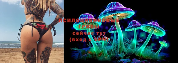 ГАЛЛЮЦИНОГЕННЫЕ ГРИБЫ Инта