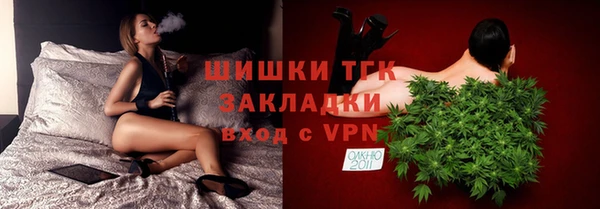 хмурый Инсар