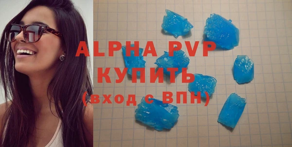 ГАЛЛЮЦИНОГЕННЫЕ ГРИБЫ Инта