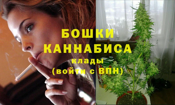 хмурый Инсар