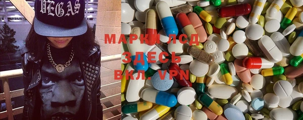 хмурый Инсар
