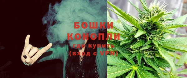 ГАЛЛЮЦИНОГЕННЫЕ ГРИБЫ Инта
