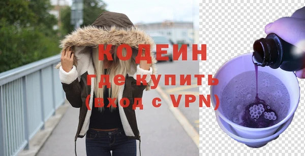 ГАЛЛЮЦИНОГЕННЫЕ ГРИБЫ Инта
