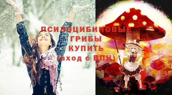 ГАЛЛЮЦИНОГЕННЫЕ ГРИБЫ Инта