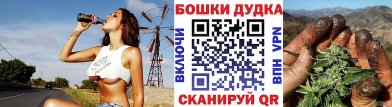 Купить где  Гороховец  Канабис семена 
